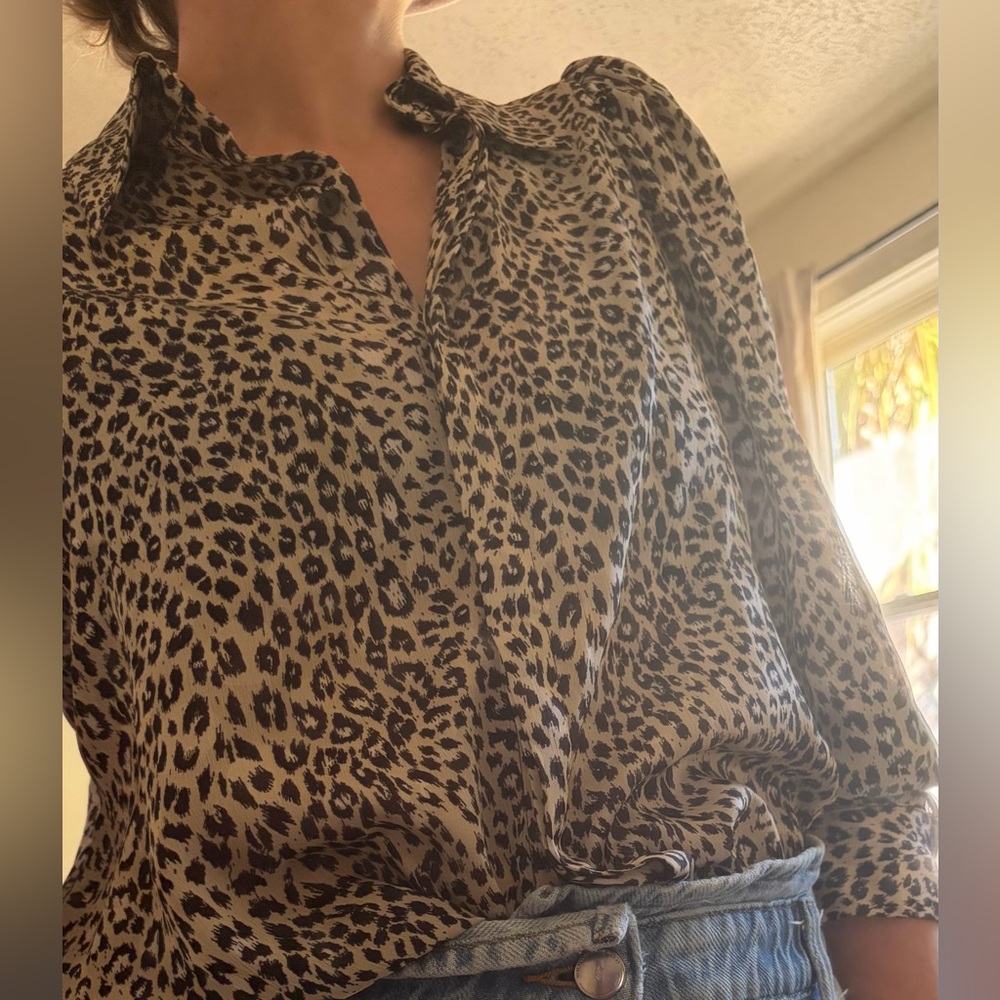 Zara Animal Print Blouse
